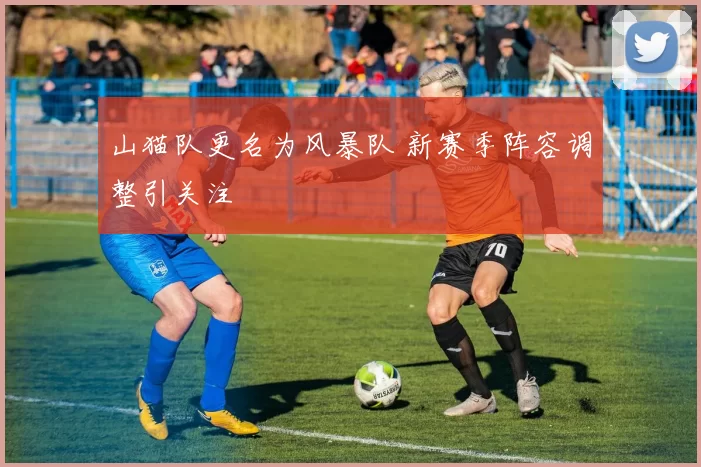 山猫队更名为风暴队 新赛季阵容调整引关注
