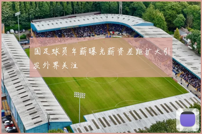 国足球员年薪曝光薪资差距扩大引发外界关注
