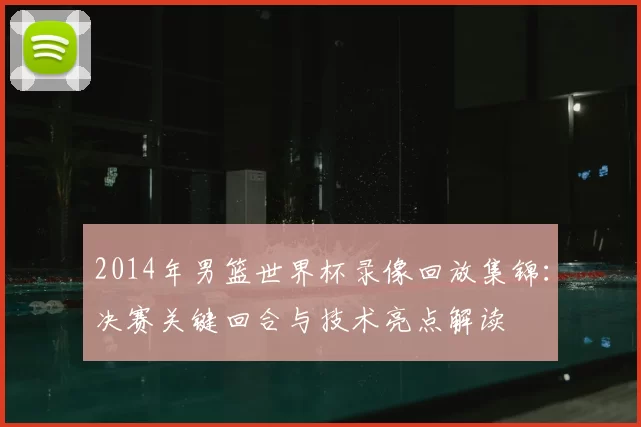2014年男篮世界杯录像回放集锦:决赛关键回合与技术亮点解读